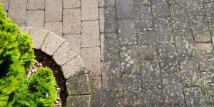 Is Commercial Power Washing Right for Your Needs?